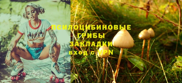 шишки Покров