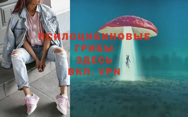 амф Покачи