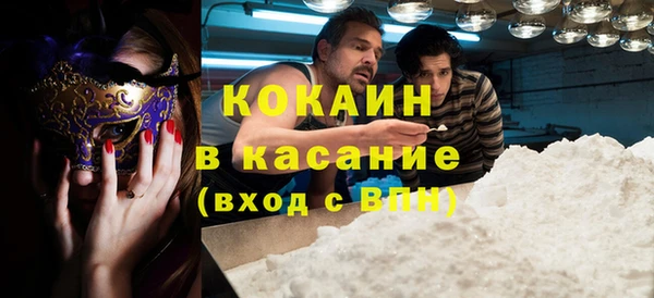 шишки Покров
